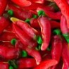 Chili piment